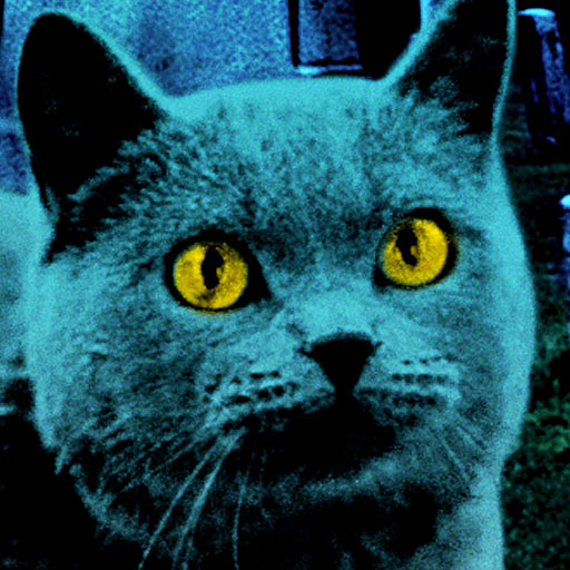 Pet Sematary icon